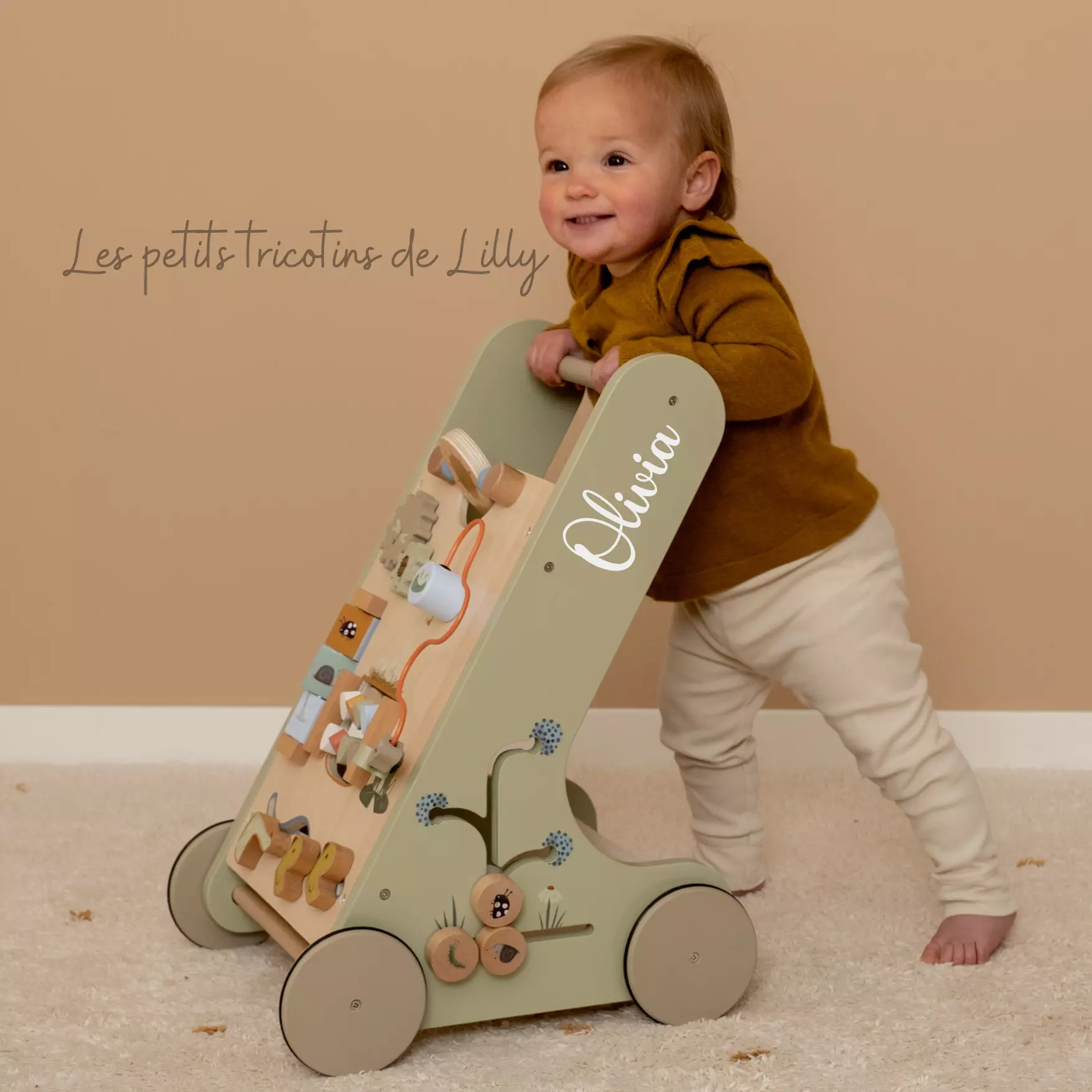 CHARIOT DE MARCHE LITTLE GOOSE